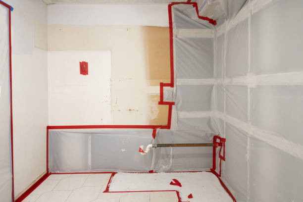 Trusted Priceville, AL Mold Removal Experts
