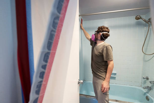 Best Mold Removal for HVAC Installations  in Priceville, AL