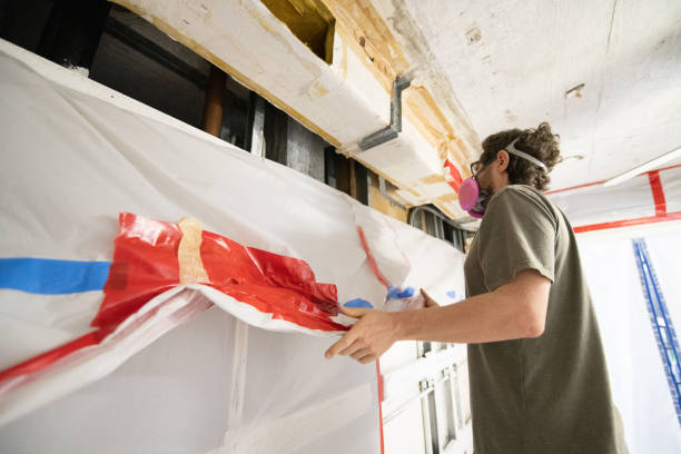 Best Mold Damage Restoration  in Priceville, AL