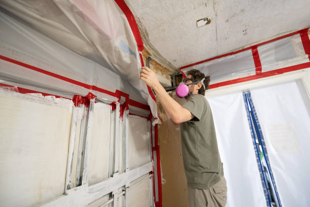Best Mold Remediation for Healthcare Facilities  in Priceville, AL
