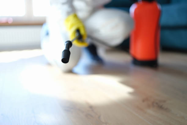 Best Residential Mold Inspection & Testing  in Priceville, AL
