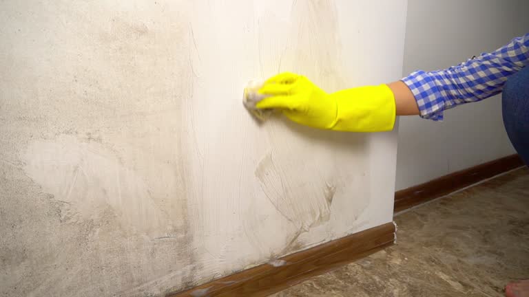 Best Airborne Mold Testing  in Priceville, AL