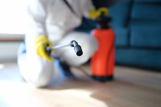 Best Air Quality Testing for Mold Spores  in Priceville, AL