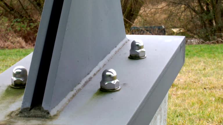 Best Industrial Mold Remediation  in Priceville, AL